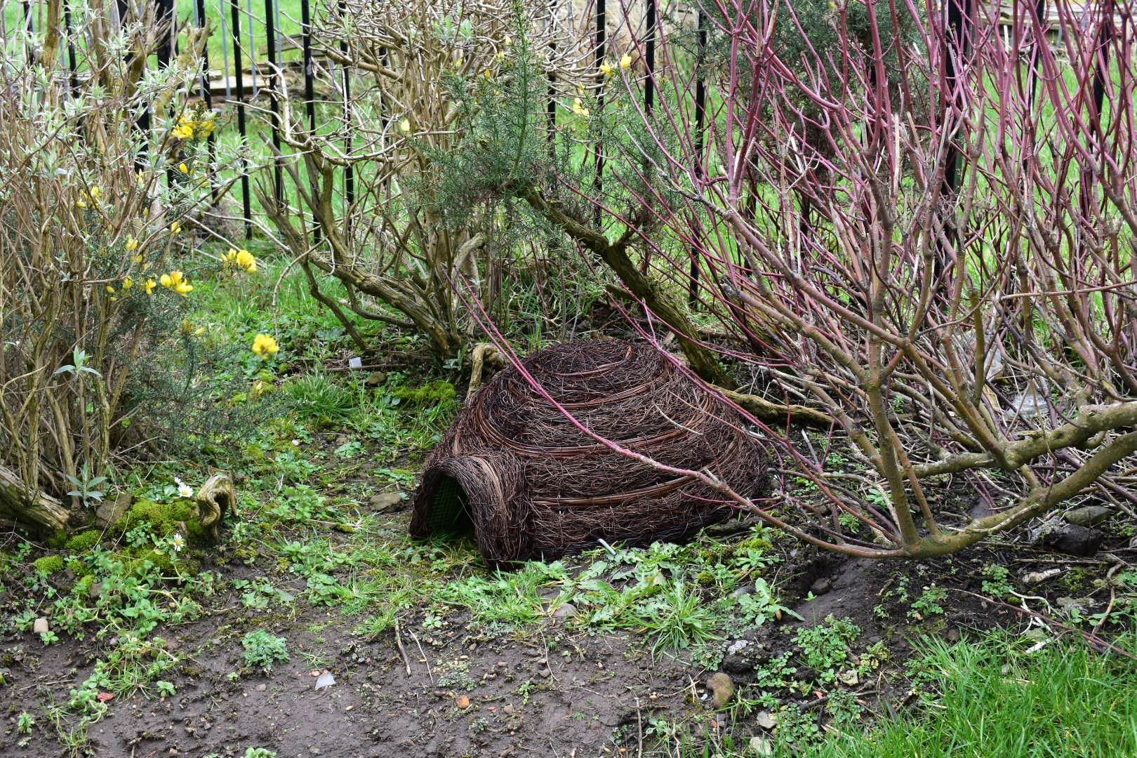 Hedgehog house in community garden